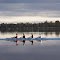 Dawn Training Booragul NSW