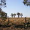 The Highway on 82, Qld. Australia