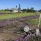 Jandowae Railway Remains.Qld