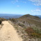 Narrow Neck fire trail