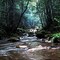 Cedar creek