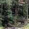 Horseshoe Creek