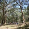 A Typical Aussie BBQ in the bush (Mount Sugarloaf)