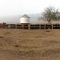 Cattle yard near Peppers Hiddenvale