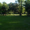 Nature Green