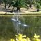 Fountain in a Lake
