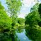 274 Crabbes Creek Road 2483