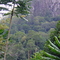 malcoms corner, wilsons creek, mullumbimby