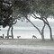 Thousand Trails Preserve Medina Lakes TX