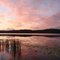 Cooloolabin Dam Sunset