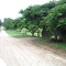 Kureelpa Falls Rd