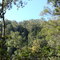 Konkodilla Bush looking NE