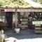 Pyree (Lolly shop)