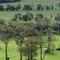 Kangaroo valley