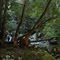 New South Wales - Kangaroo Valley