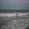 Body boarding in Surfers Paradise