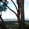 Looking down at the Gold Coast from The Panorama lookout