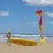 surf saving