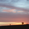 sunset near parkes