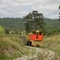 Cane train@ Strathdickie.  Qld