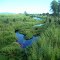 Proserpine River in Queendland, Australia