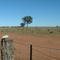 the outback