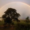 rainbow from Allan's place