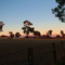 sunset rylstone cem 2