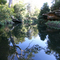 Reflection on Fishponds Waterhole on Great North Walk
