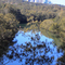 Lane Cove River from Mowbray Park