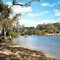 Beach near Blackman Park on Lane Cove River