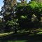 Robert Pymble Park