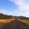 SCONE-NSW-AUSTRALIA