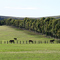 Hunter Valley Thoroughbreds, NSW
