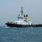 Tug Boat Wilga on Botany Bay