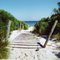 Beach off Foreshore Road Sydney