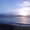 The best time is in the morning