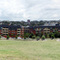 Panorama of Sydney Park surrounds