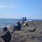 Fishing Bonito