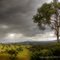 Near Tumut