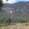 Tumut