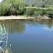 Tumut River: Trout fishing