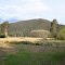 Fields near Tumut, NSW
