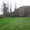 Tumut River and rest area near Tumut, NSW