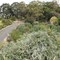 Grevillea Park