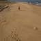 Track in the sand