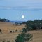 a full moon rising at dusk near Young, NSW. March 2008.