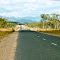 Road to Mossman / QLD (Aug. 1979)
