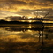 Lake Mitchell, Southedge, Queensland, Australia