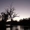 Weeli Wolli Creek